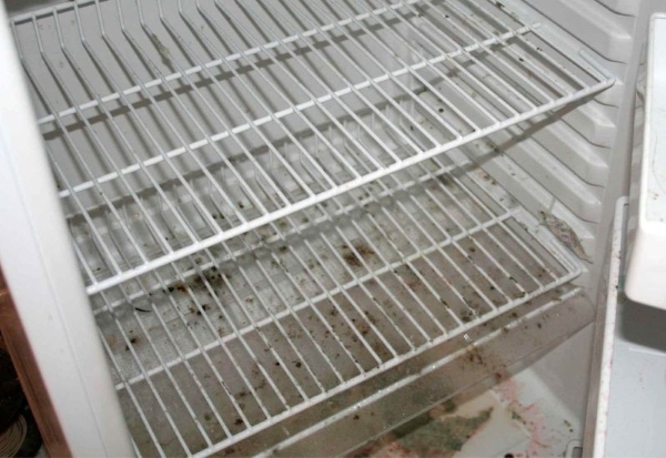  Налейте в хладилника