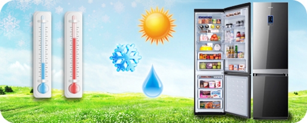  Курсове за климата