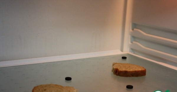  Неприятна миризма в хладилника