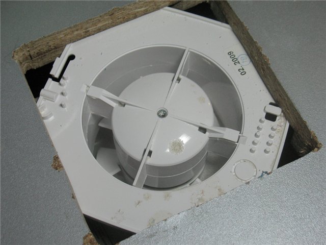  Маникюр за домашен любимец