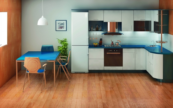  Хладилник Biryusa във вътрешността на кухнята