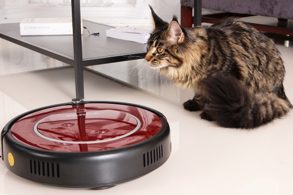  Почистване на котки