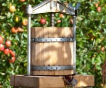  Сокоизстисквачката го направете сами