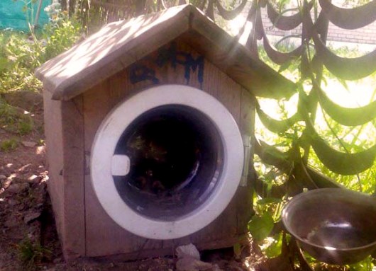  Врата на кучето