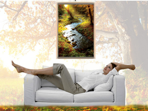  Стенен филм нагревател в интериора