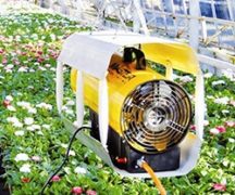  Оръдие в оранжерията