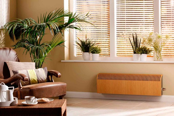  Конвектор в хола