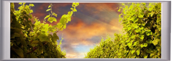  Проектиращ инфрачервен нагревател