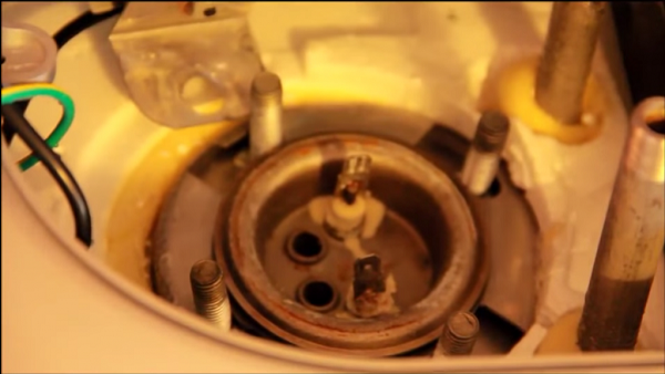  Всички ядки се развиват