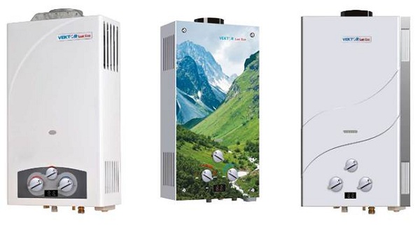  Гейзер Вектор