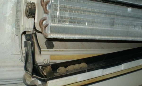  Насекоми в климатизатора