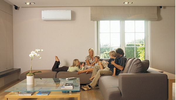  Семейство в хола