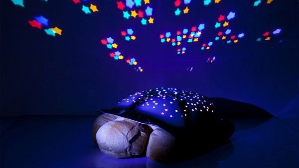  Костенурка прожектор