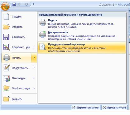  предварителен преглед