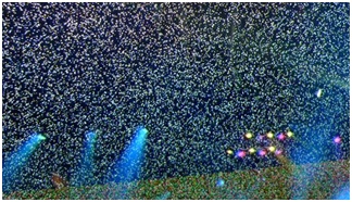  Екранът вали сняг