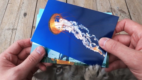  Мастилена фотохартия