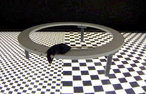 Мишка за виртуална действителност