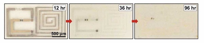  Детайли на разлагането