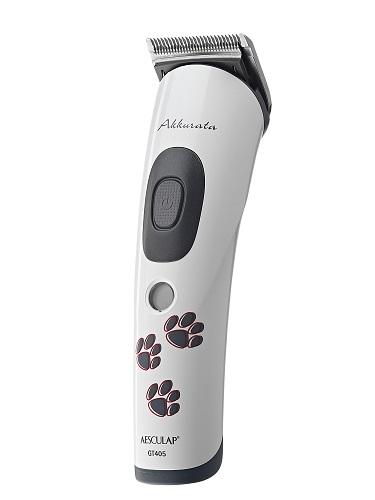 Автоматична пишеща машина