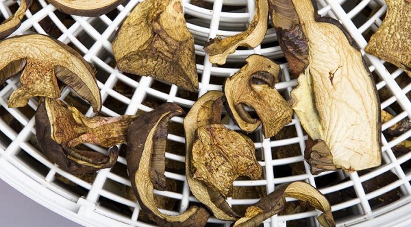  Гъби в дехидратор