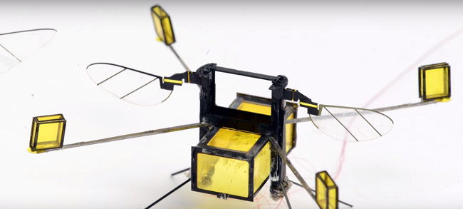 Робот пчела