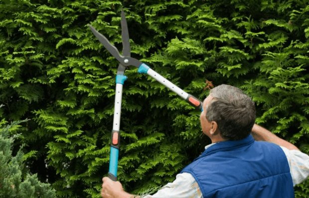  Градински ножици