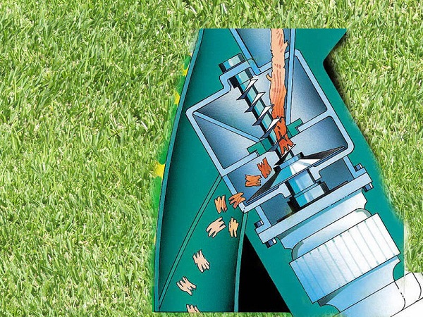  Ножната система