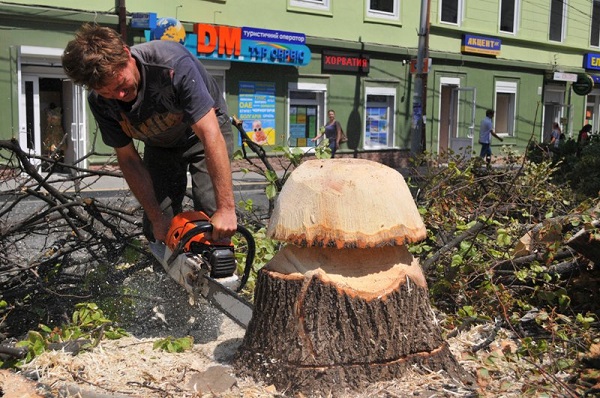  Процесът на скулптура