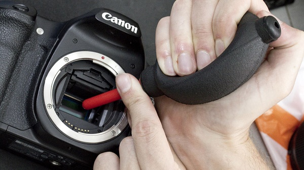  Почистване на круши