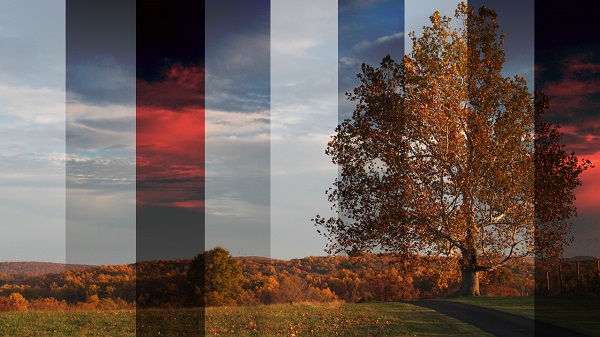  Филтър за коригиране на цветовете