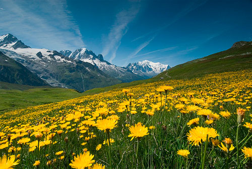  3D заснемане