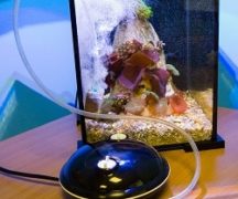  Аквариум компресор