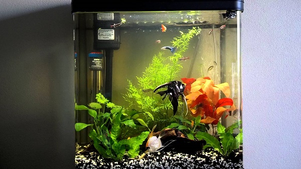  Помпа в аквариума