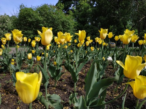  Снимка на смартфон