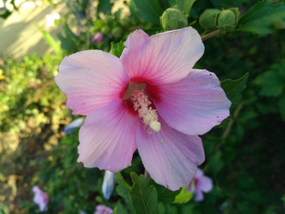  Качество през деня