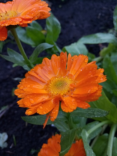  Снимки от камерата