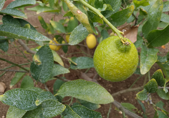  Примерна снимка