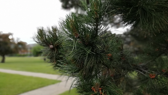  Примерна снимка