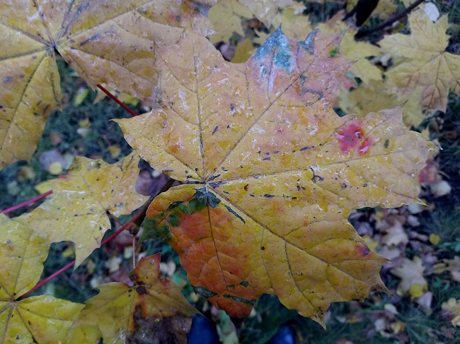  Изстреляна камера