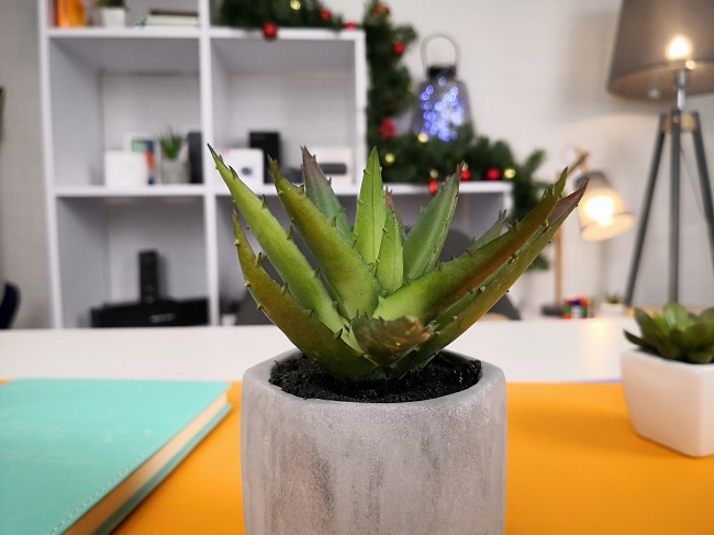  Примерна снимка