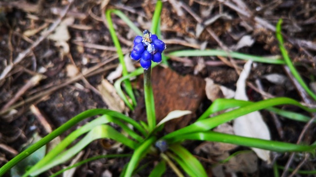  Примерна снимка