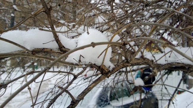  Примерна снимка 3