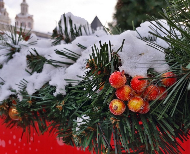  Примерна снимка