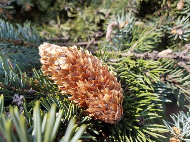  Примерна снимка