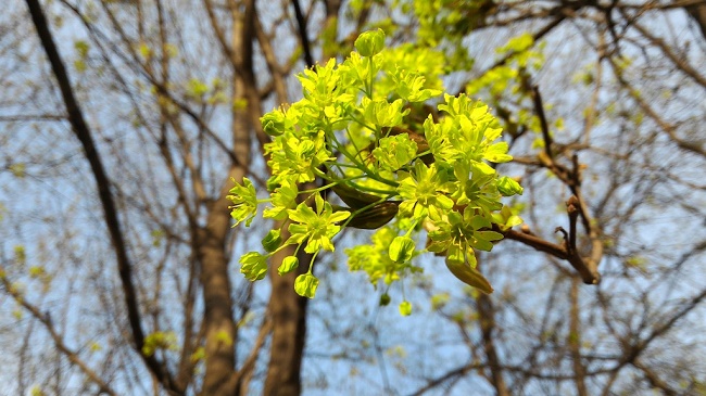  Примерна снимка