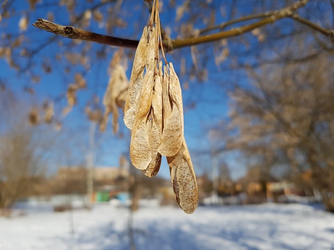  Примерна снимка