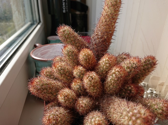  Примерна снимка