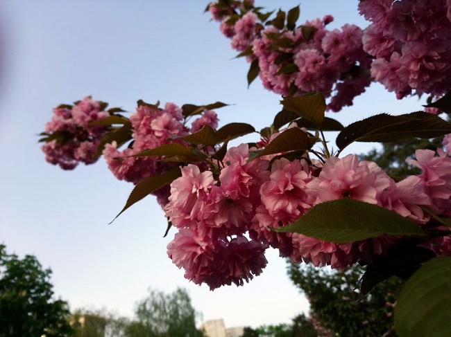  Примерна снимка