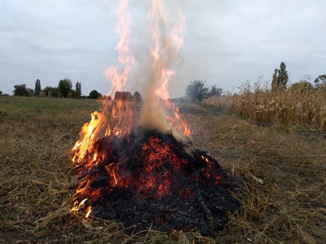  Примерна снимка