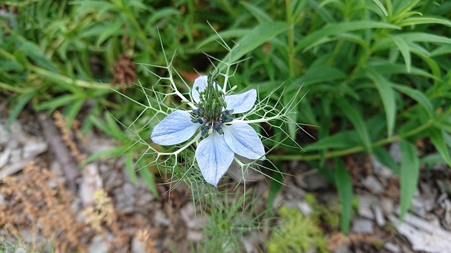  Примерна снимка